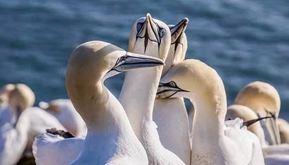 开云体育登录网站入口-首秀夺牌虽未达，但战绩赢得尊重，首夺大师赛冠军